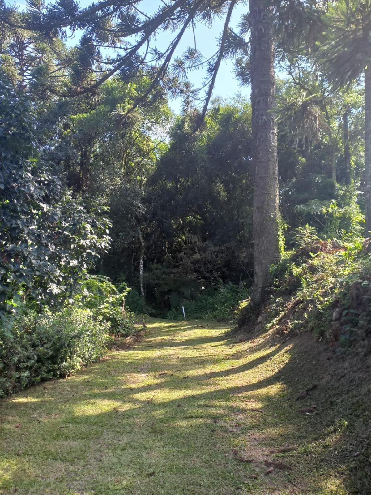 Casa Ampla E Aconchegante Em Gramado Villa Buitenkant foto